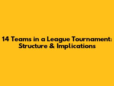 14 Teams in a League Tournament: Structure & Implications