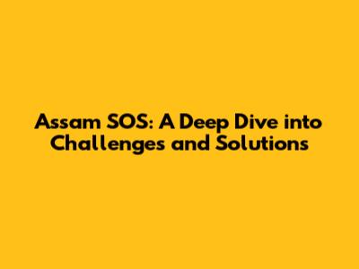 Assam SOS: A Deep Dive into Challenges and Solutions