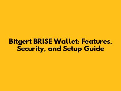 Bitgert BRISE Wallet: Features, Security, and Setup Guide