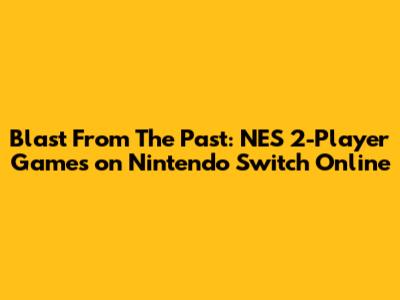 Blast From The Past: NES 2-Player Games on Nintendo Switch Online
