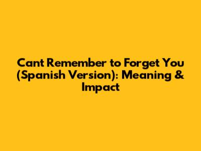 Can't Remember to Forget You (Spanish Version): Meaning & Impact