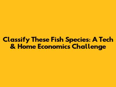 Classify These Fish Species: A Tech & Home Economics Challenge