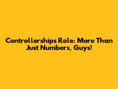 Controllership's Role: More Than Just Numbers, Guys!