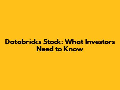 Databricks Stock: What Investors Need to Know