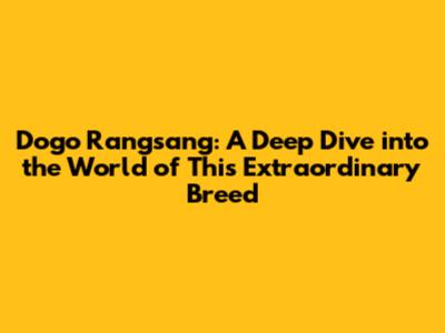 Dogo Rangsang: A Deep Dive into the World of This Extraordinary Breed