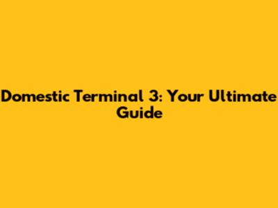 Domestic Terminal 3: Your Ultimate Guide