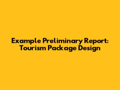 Example Preliminary Report: Tourism Package Design
