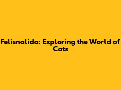 Felisnalida: Exploring the World of Cats