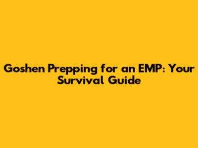 Goshen Prepping for an EMP: Your Survival Guide