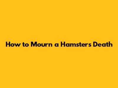 How to Mourn a Hamster's Death