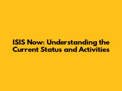 ISIS Now: Understanding the Current Status and Activities