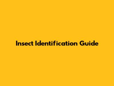 Insect Identification Guide
