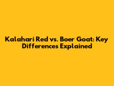 Kalahari Red vs. Boer Goat: Key Differences Explained