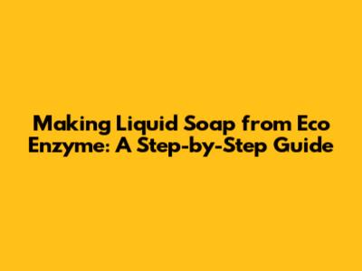 Making Liquid Soap from Eco Enzyme: A Step-by-Step Guide