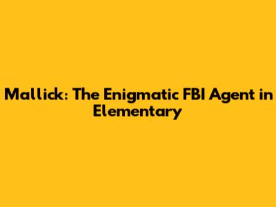 Mallick: The Enigmatic FBI Agent in Elementary