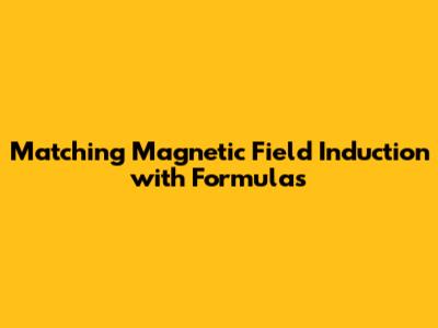 Matching Magnetic Field Induction with Formulas