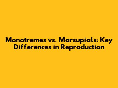Monotremes vs. Marsupials: Key Differences in Reproduction