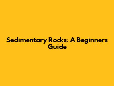 Sedimentary Rocks: A Beginner's Guide