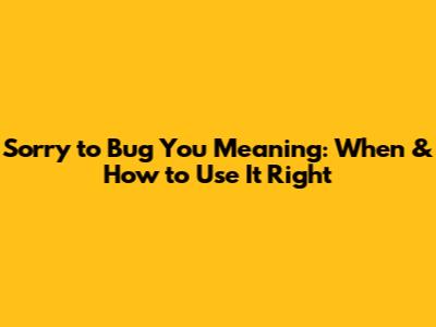 Sorry to Bug You Meaning: When & How to Use It Right