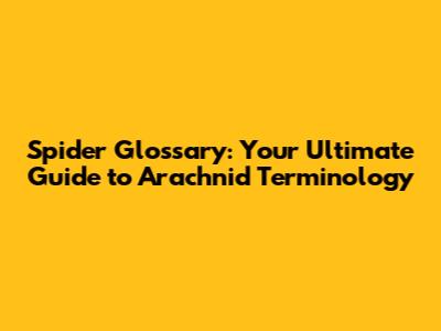 Spider Glossary: Your Ultimate Guide to Arachnid Terminology