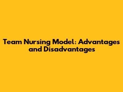 Team Nursing Model: Advantages and Disadvantages