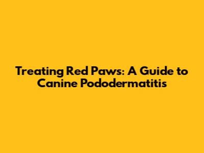 Treating Red Paws: A Guide to Canine Pododermatitis