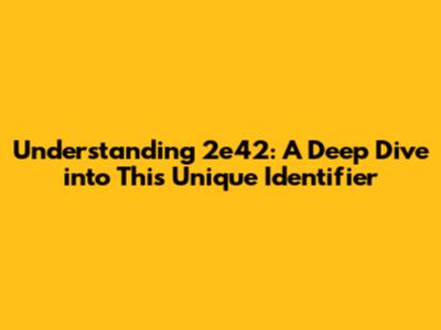 Understanding 2e42: A Deep Dive into This Unique Identifier