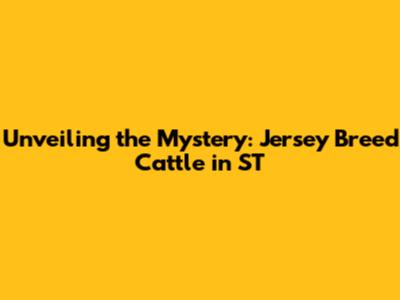 Unveiling the Mystery: Jersey Breed Cattle in ST