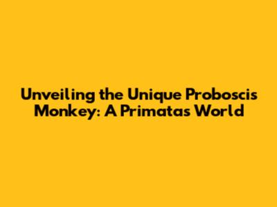 Unveiling the Unique Proboscis Monkey: A Primata's World