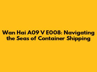 Wan Hai A09 V E008: Navigating the Seas of Container Shipping