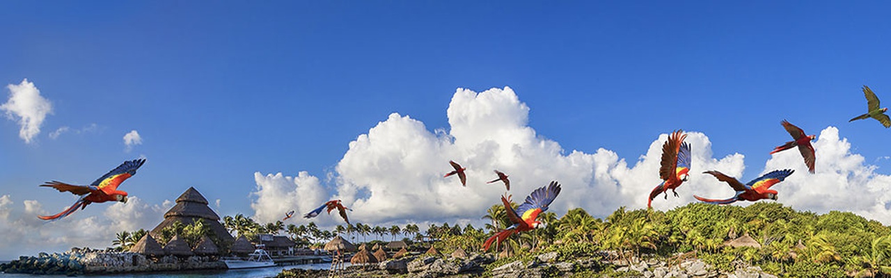 Parque Xcaret